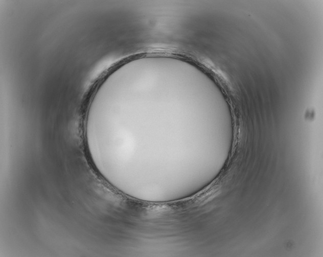 X0000091581454200709101008