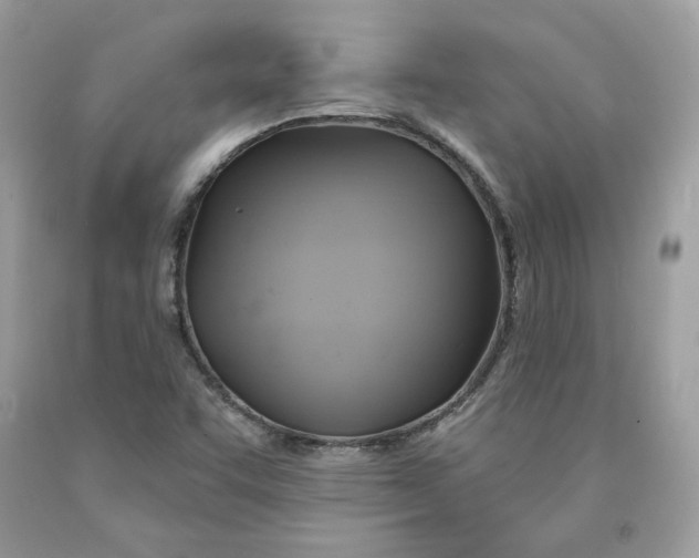 X0000091581455200709101008