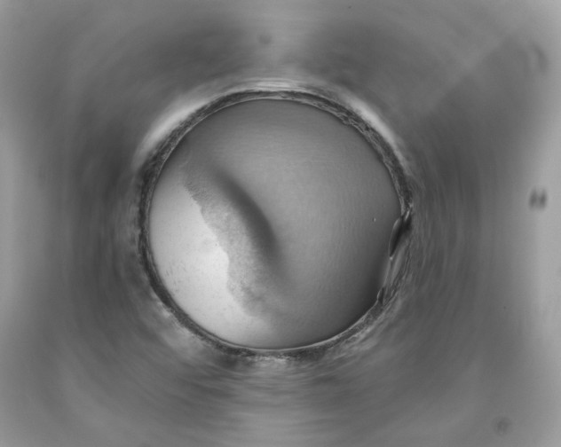 X0000091581456200709101008