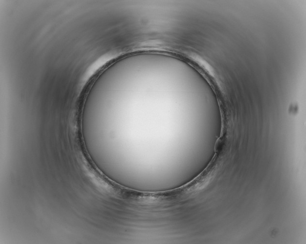 X0000091581458200709101008