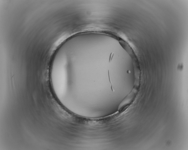 X0000091581459200709101008