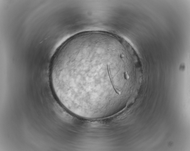 X0000091581460200709101008