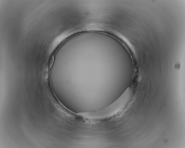 X0000091581461200709101008