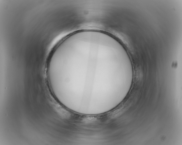 X0000091581462200709101008