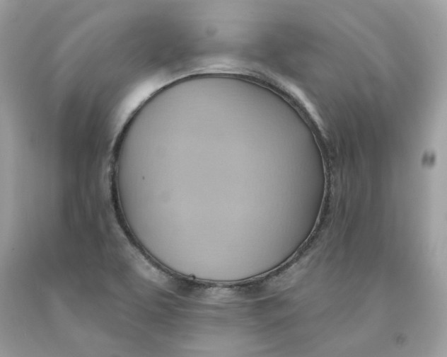 X0000091581463200709101008