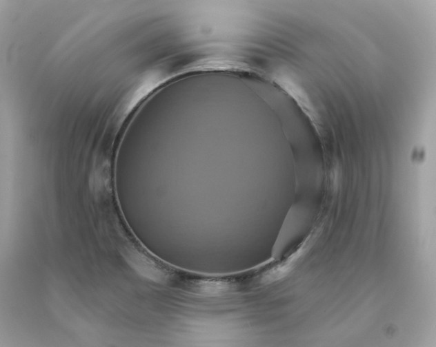 X0000091581465200709101008