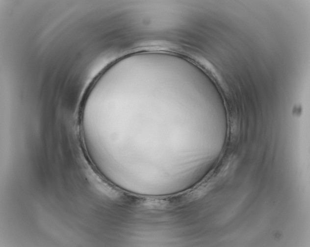 X0000091581466200709101008