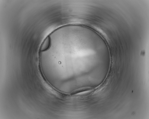 X0000091581467200709101008