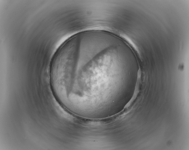 X0000091581468200709101008