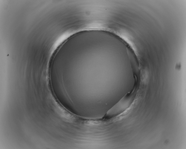 X0000091581469200709101008