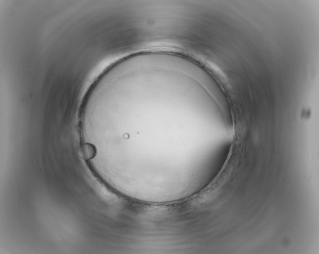 X0000091581470200709101008