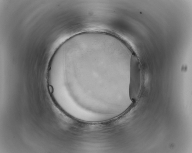 X0000091581471200709101008