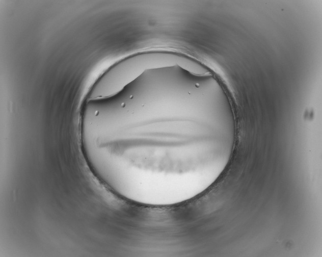 X0000091581472200709101008