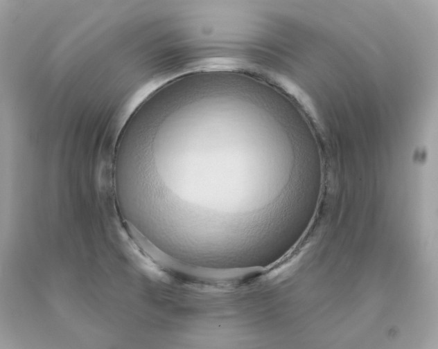 X0000091581473200709101008