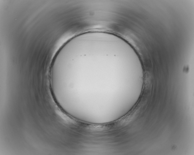 X0000091581474200709101008