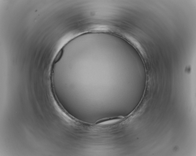 X0000091581475200709101008