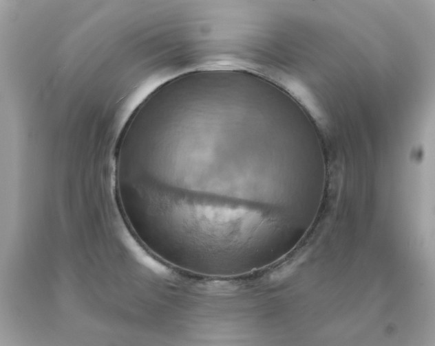 X0000091581476200709101008