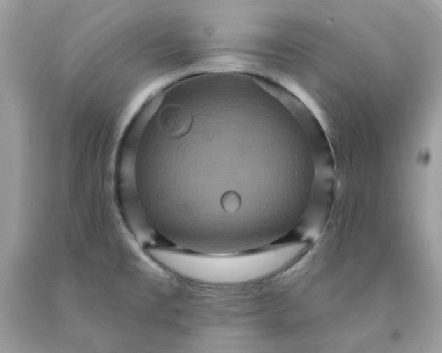 X0000091581477200709101008