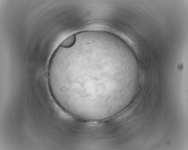 X0000091581478200709101007