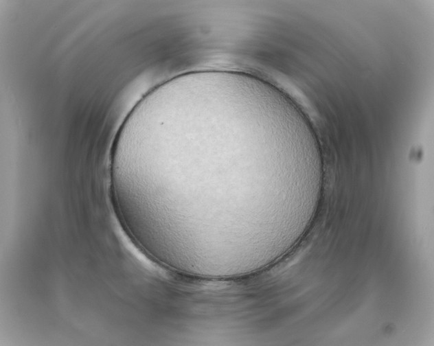 X0000091581479200709101007