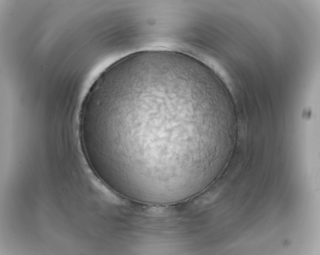 X0000091581480200709101007