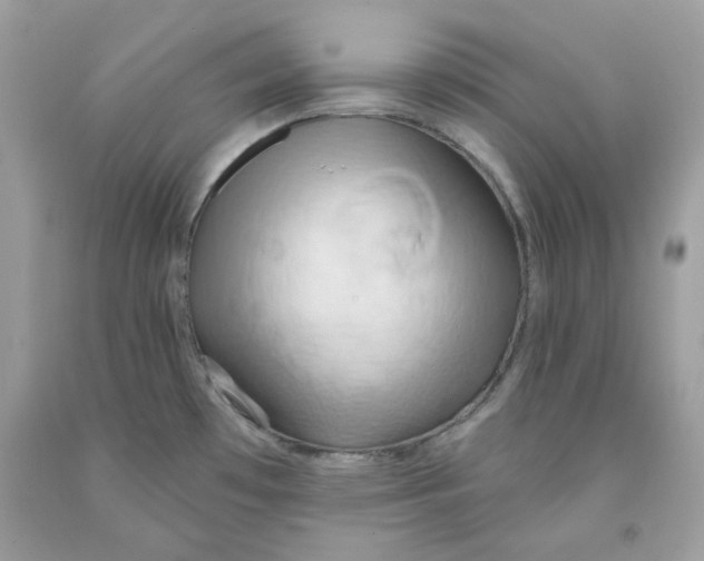 X0000091581481200709101007