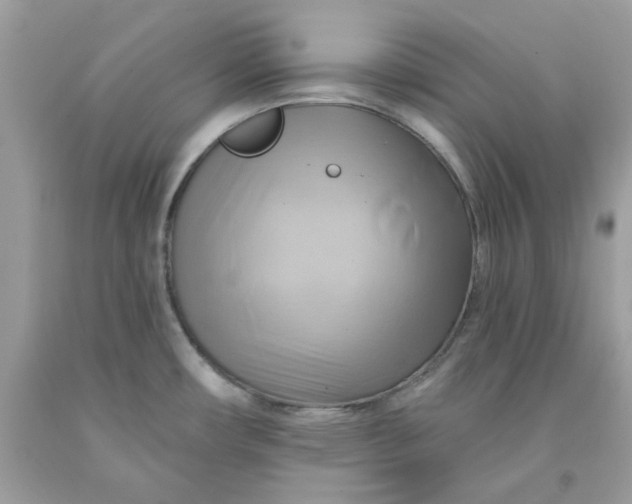 X0000091581482200709101007