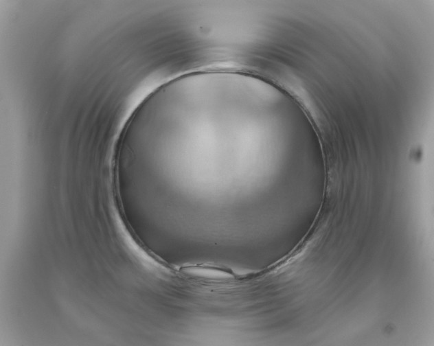 X0000091581483200709101007