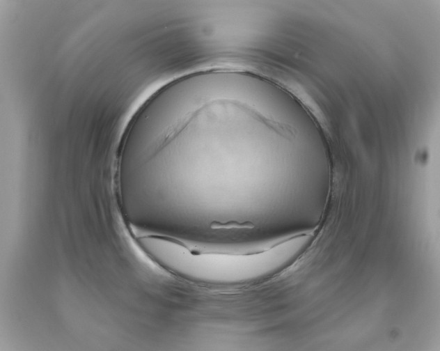 X0000091581484200709101007