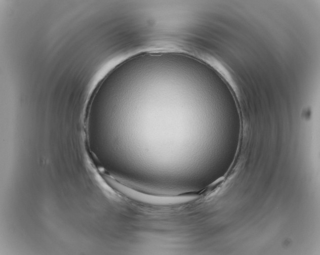 X0000091581485200709101007