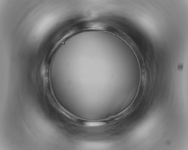 X0000091581487200709101007