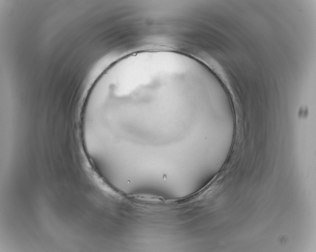 X0000091581488200709101007