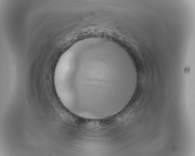 X0000091581489200709101007