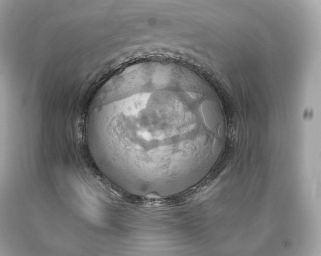 X0000091581490200709101007