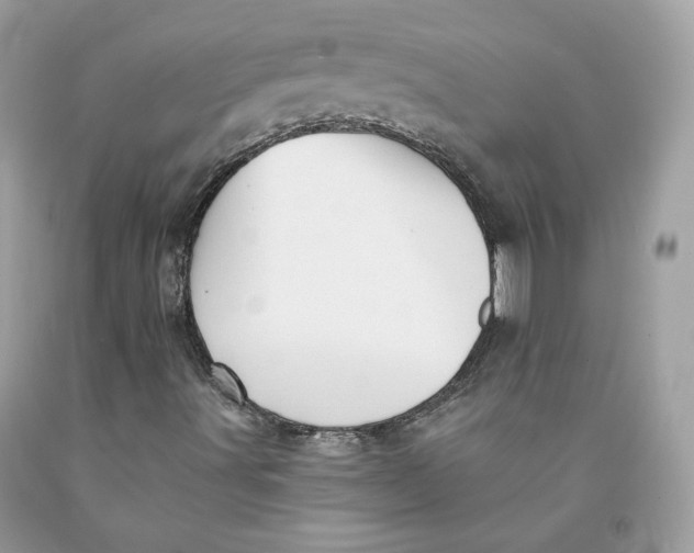 X0000091581491200709101007