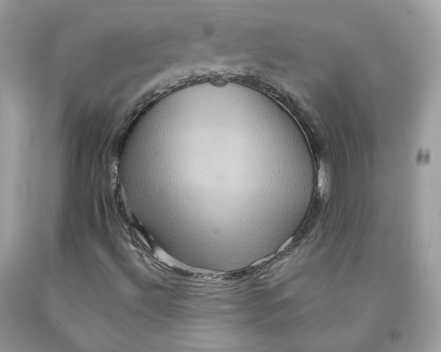 X0000091581492200709101007