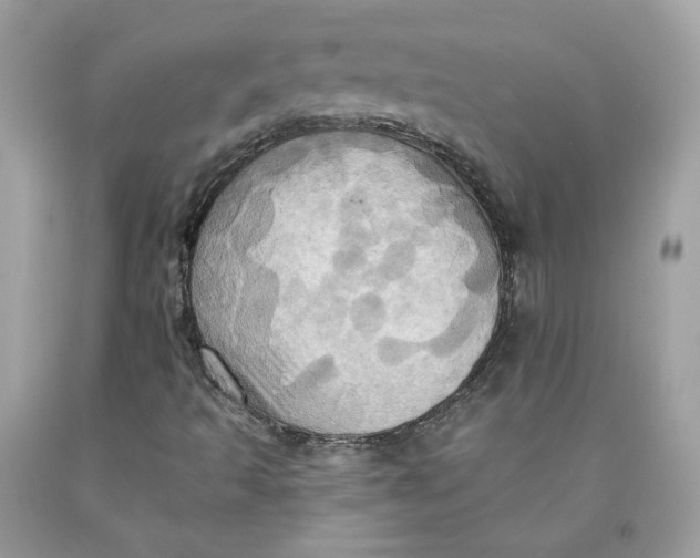 X0000091581493200709101007