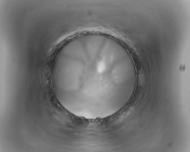 X0000091581494200709101007