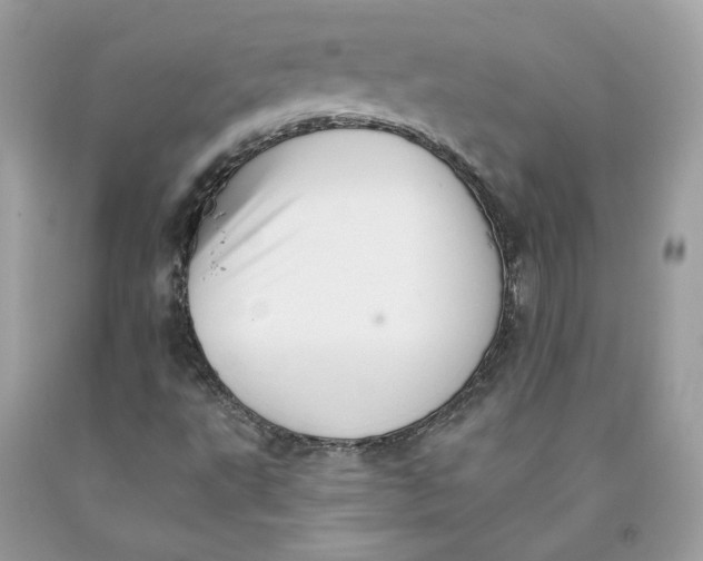 X0000091581495200709101007