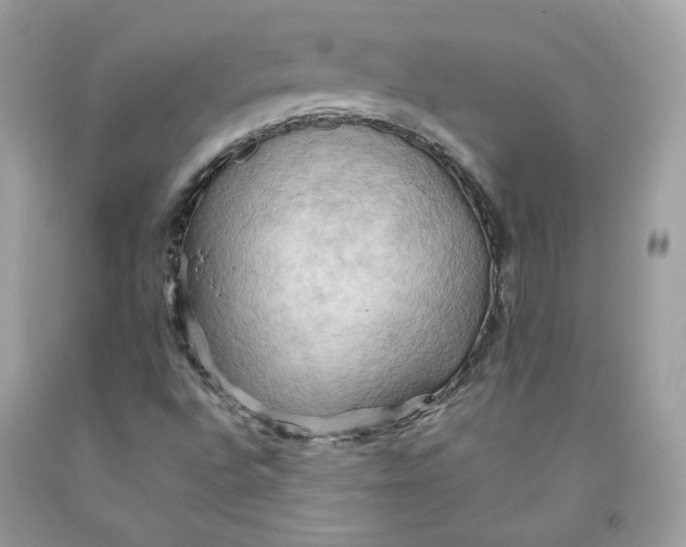 X0000091581496200709101007