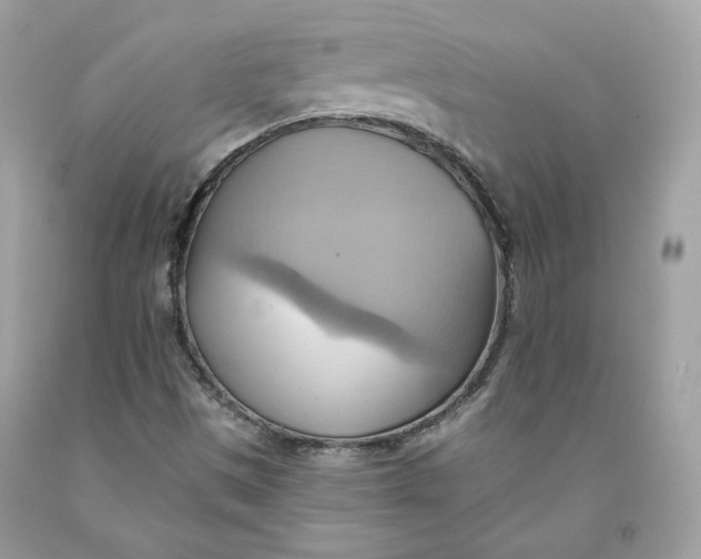 X0000091581497200709101007