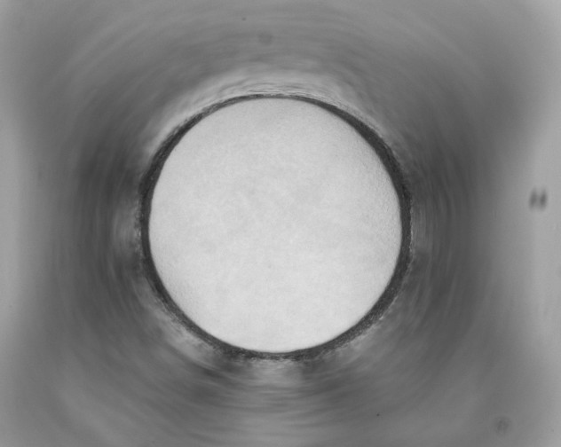 X0000091581498200709101007