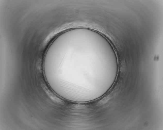 X0000091581499200709101007