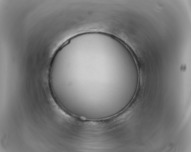 X0000091581500200709101007