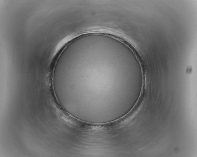 X0000091581501200709101007