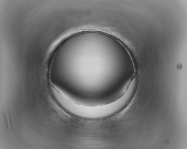 X0000091581502200709101007