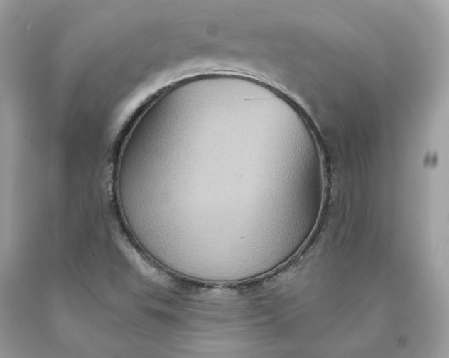 X0000091581503200709101007