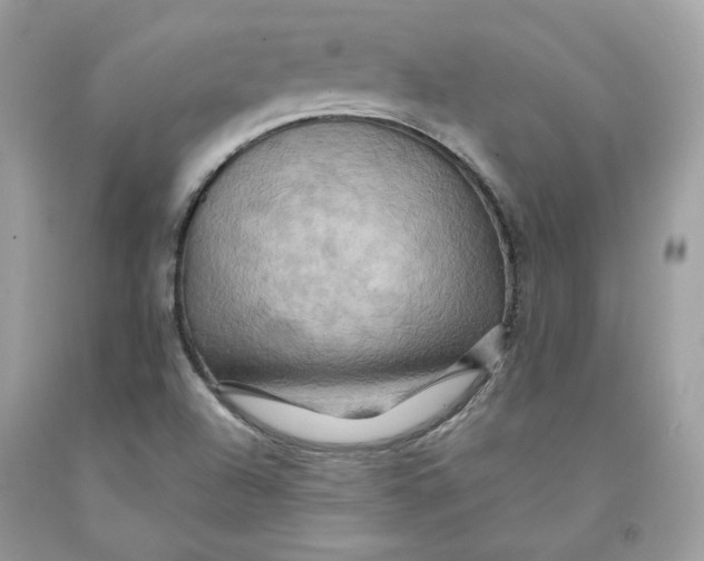 X0000091581504200709101007