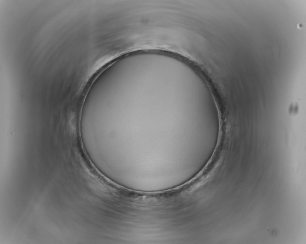 X0000091581505200709101007