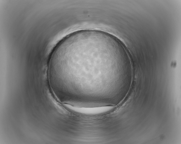 X0000091581507200709101007